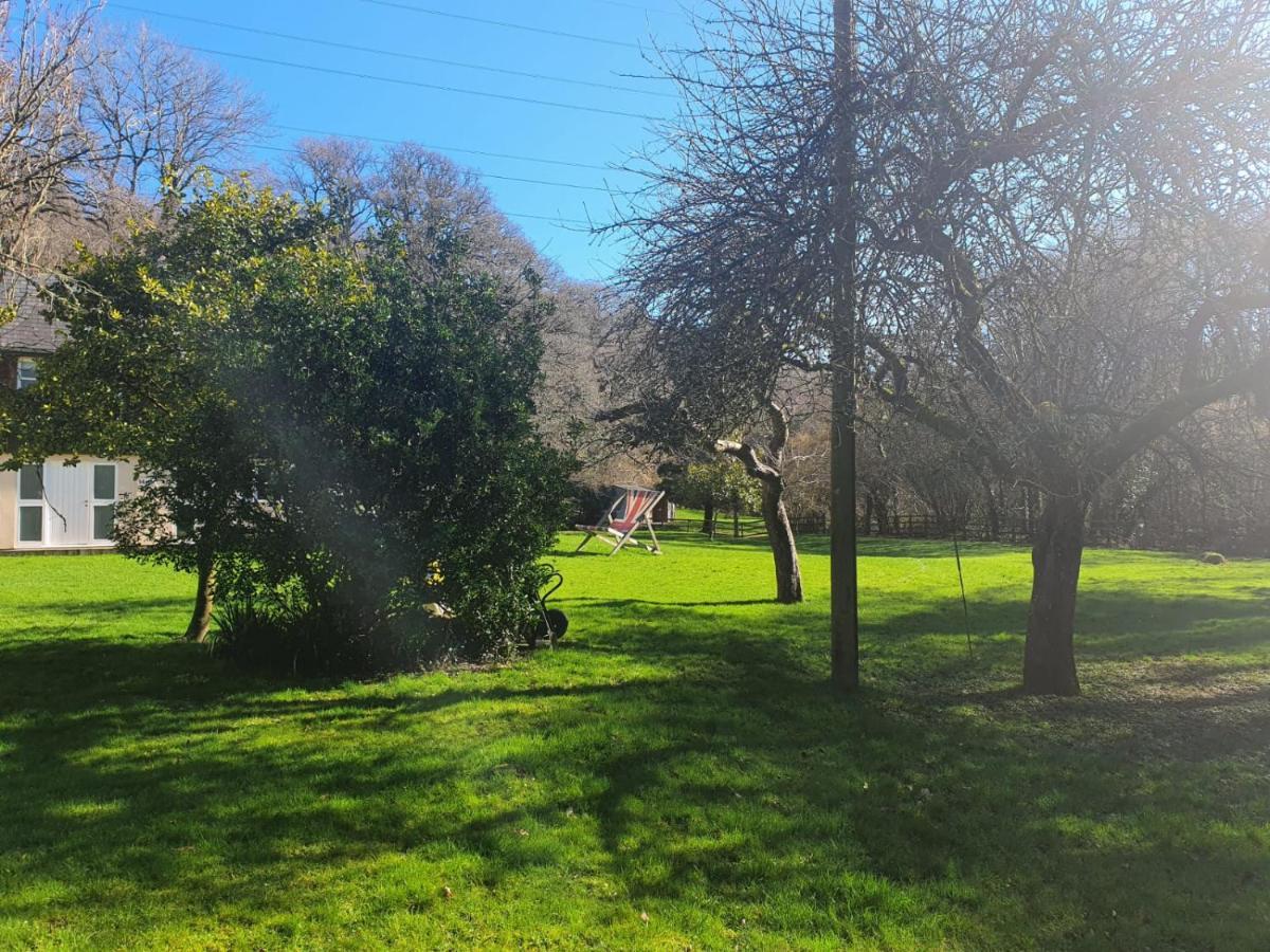 Osbornes Holiday House Near Exeter With Swimming Pool Eksteriør bilde